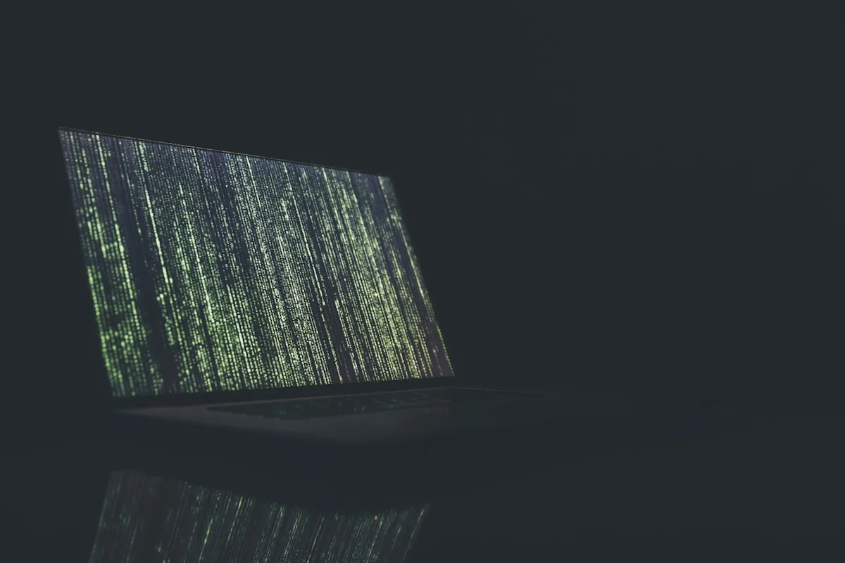 XSS (Cross-Site Scripting): Was es ist und wie man sich schützt